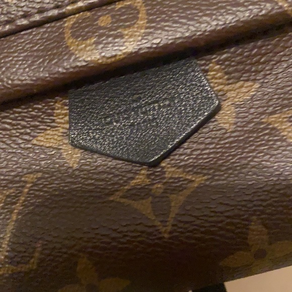 Louis Vuitton Palm Springs Mini - Picture 13 of 13